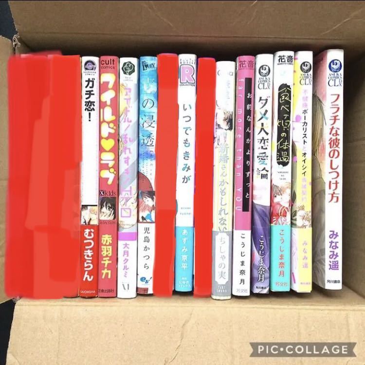 BLコミック 11冊 まとめ売り 大量セット 少女漫画 セット販売 みなみ遥 こうじま奈月 ちしゃの実 大月クルミ 赤羽チカ