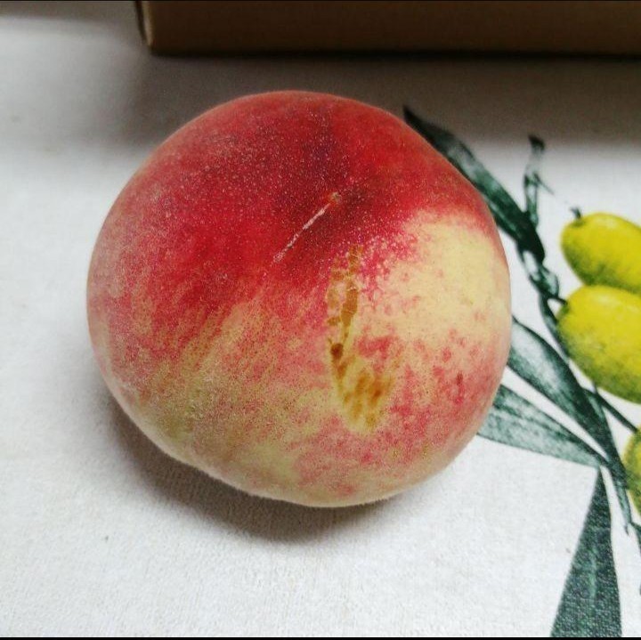 白桃 5kg】【訳あり】だて白桃 丸田白桃 白根白桃 もも 桃 ピーチ Peach フルーツ 果物 家庭用 長野県産｜PayPayフリマ