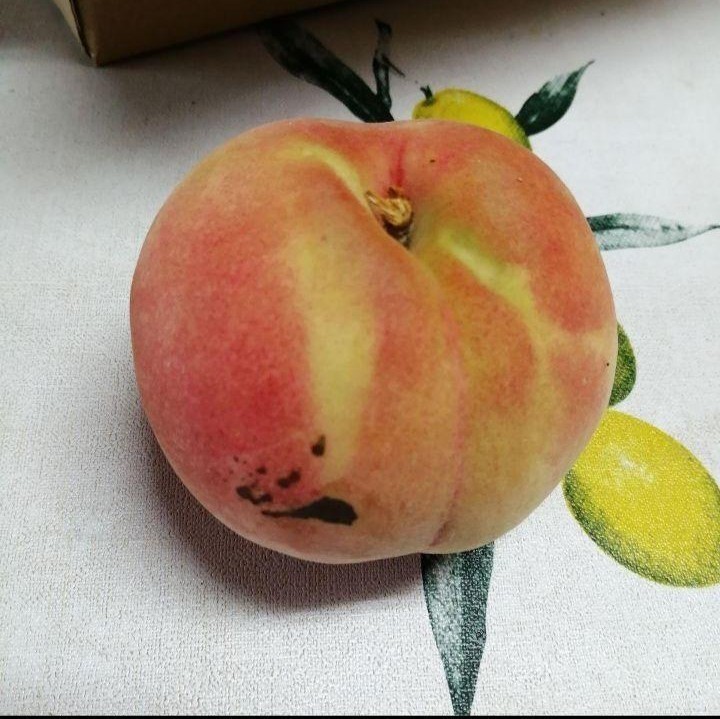 白桃 5kg】【訳あり】だて白桃 丸田白桃 白根白桃 もも 桃 ピーチ Peach フルーツ 果物 家庭用 長野県産｜PayPayフリマ