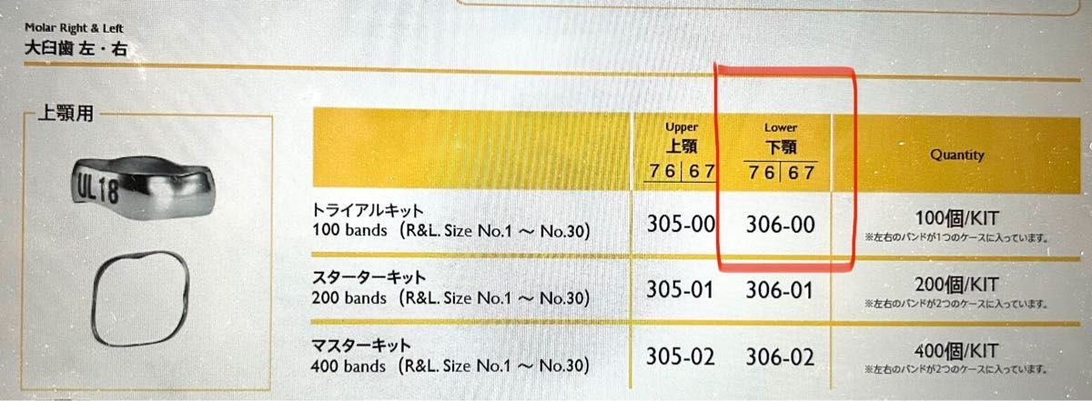 【歯科矯正】下顎大臼歯 矯正用バンド 100個