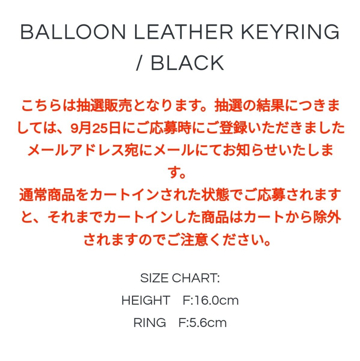 WIND AND SEA Balloon Leather Keyring Black|PayPayフリマ