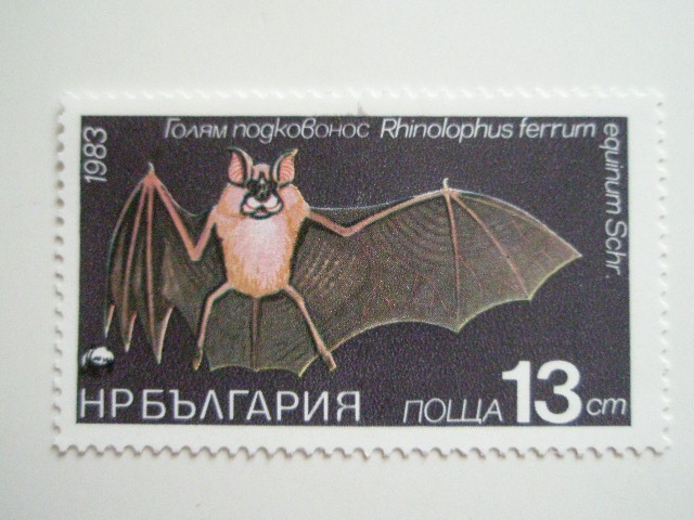 ブルガリア 切手 1983 動物保護法 指定 保護動物 － 哺乳類 3279_画像3
