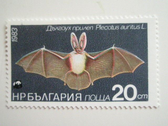 ブルガリア 切手 1983 動物保護法 指定 保護動物 － 哺乳類 3279_画像4