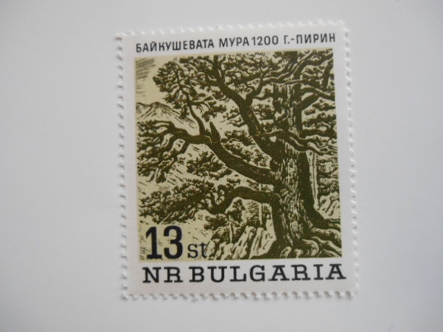 ブルガリア 切手 1964 高齢 樹木 1559-1_画像7