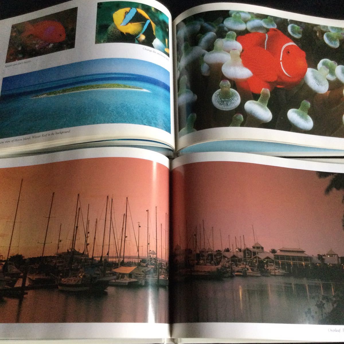 2冊セット　オーストラリア　ケアンズ　グレートバリアリーフ　洋書　英語　写真集　Australia_画像10