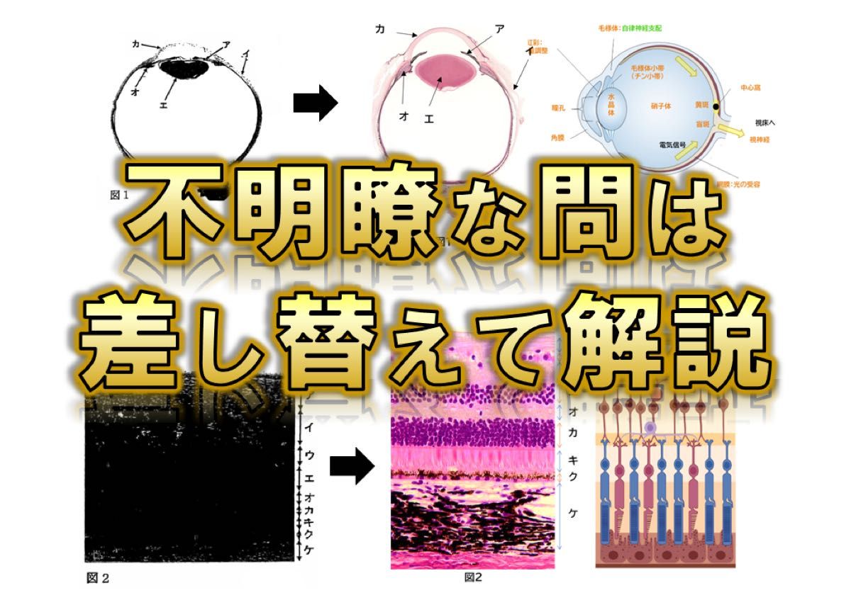 【旭川医科大学】2024〜2022年度 解答解説 医学部学士編入 