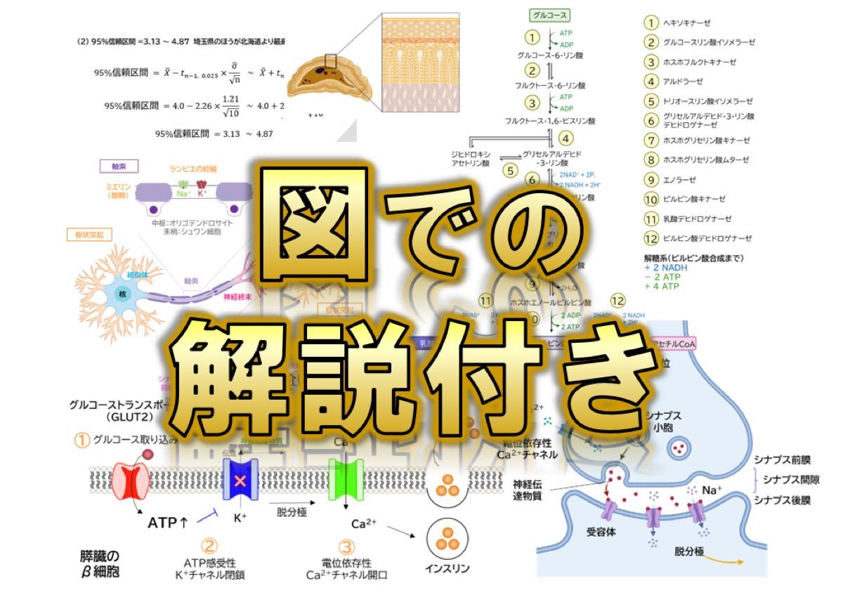 【旭川医科大学】2024〜2018年度 解答解説 医学部学士編入