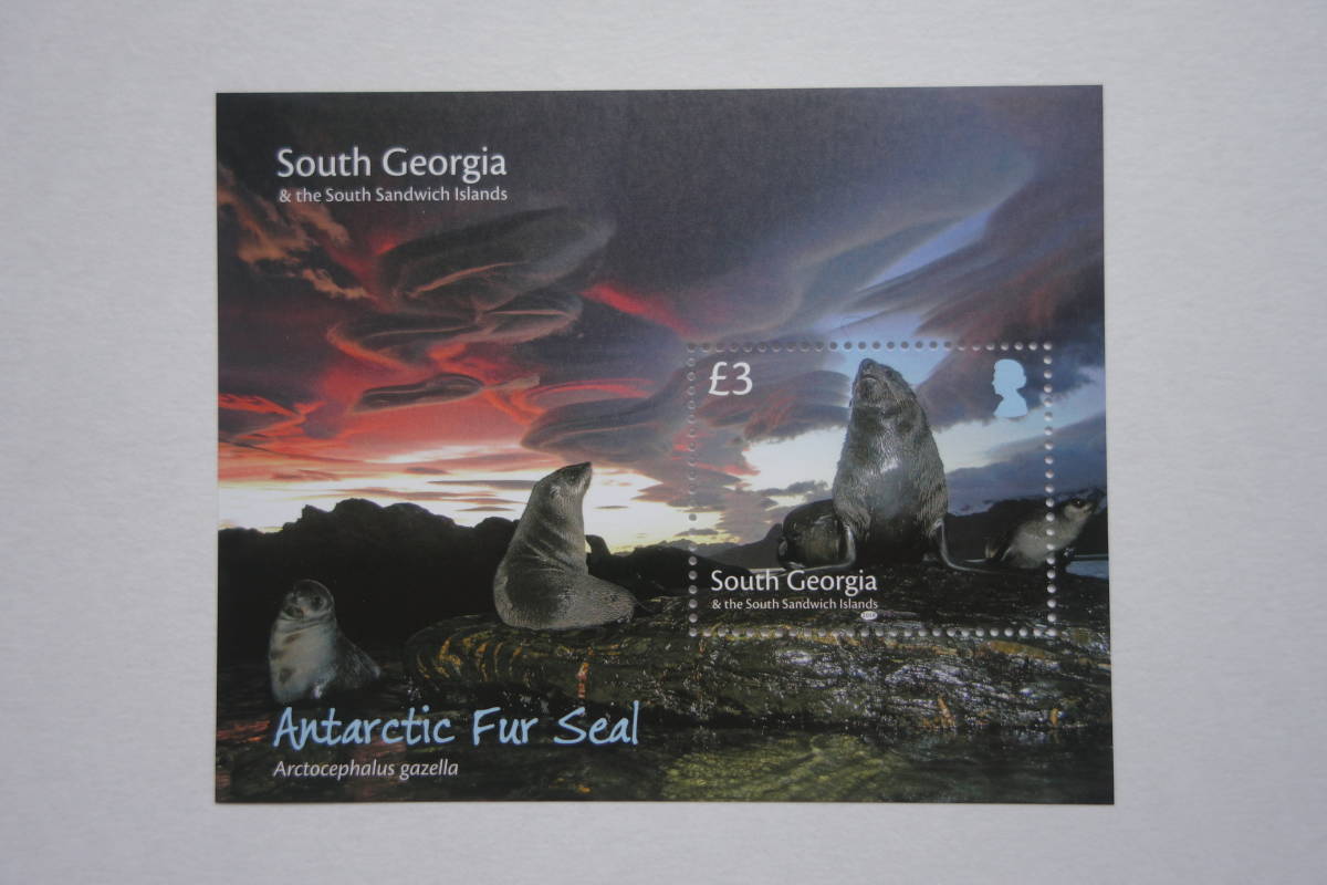 外国切手： （イギリスの海外領土）サウスジョージア・サウスサンドウィッチ諸島切手「ナンキョクオットセイ」 小型シート 未使用_画像1