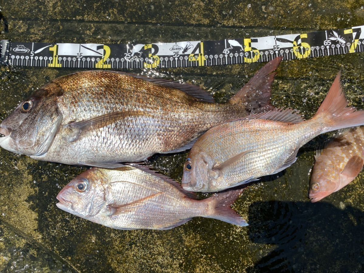 コスパ最強で釣果抜群！ 魚釣り 船釣り 6号丸オモリ仕掛け 一つテンヤ タイラバ オブリ ★送料無料★ ★値下げ期間開始★_画像8