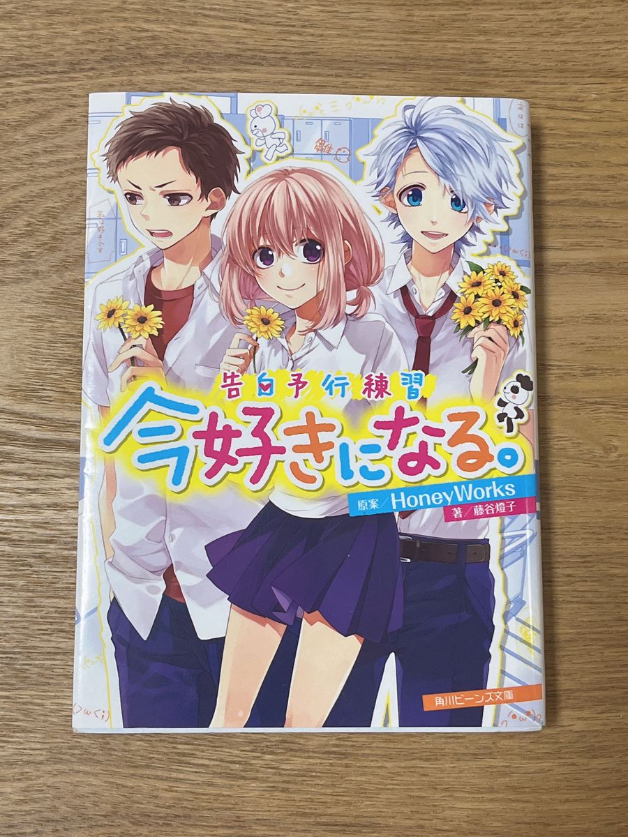 HoneyWorks　小説　5冊セット 　藤谷燈子 角川ビーンズ文庫　【バラ売り◎】