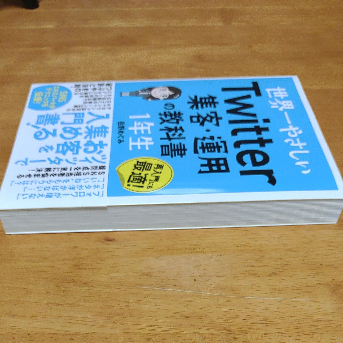 世界一やさしいＴｗｉｔｔｅｒ集客・運用の教科書１年生　再入門にも最適！ 岳野めぐみ／著