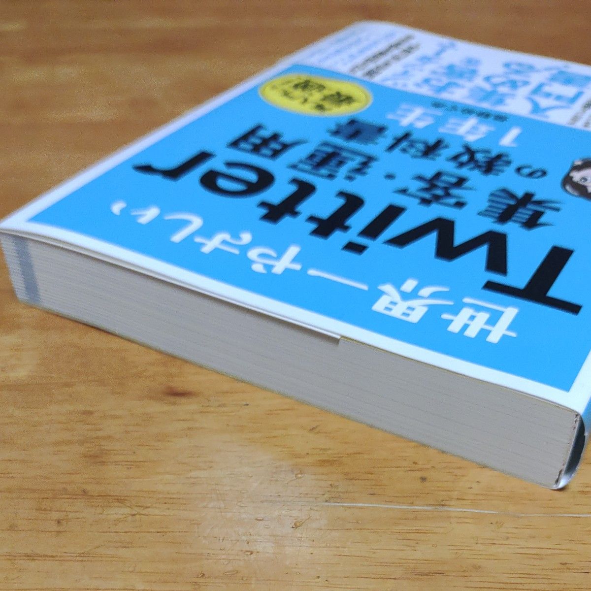 世界一やさしいＴｗｉｔｔｅｒ集客・運用の教科書１年生　再入門にも最適！ 岳野めぐみ／著