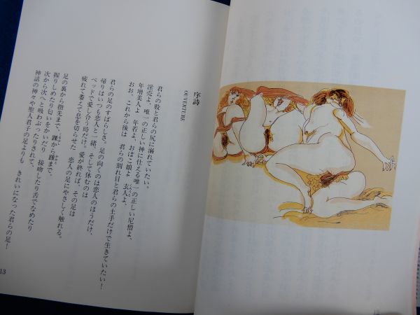 1^ поэзия сборник репродукций мужчина . женщина P* Verlaine, Ikeda Masuo, Shibusawa Tatsuhiko / Kadokawa Bunko эпоха Heisei 2 год, первая версия, с покрытием 