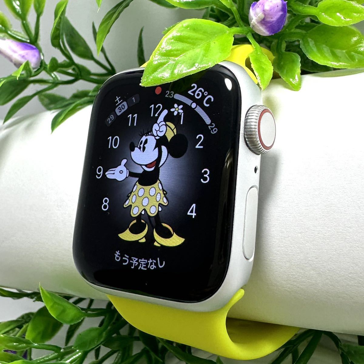 まとめ買い】 Apple Watch SE第1世代 セルラー 40mm アルミニウム