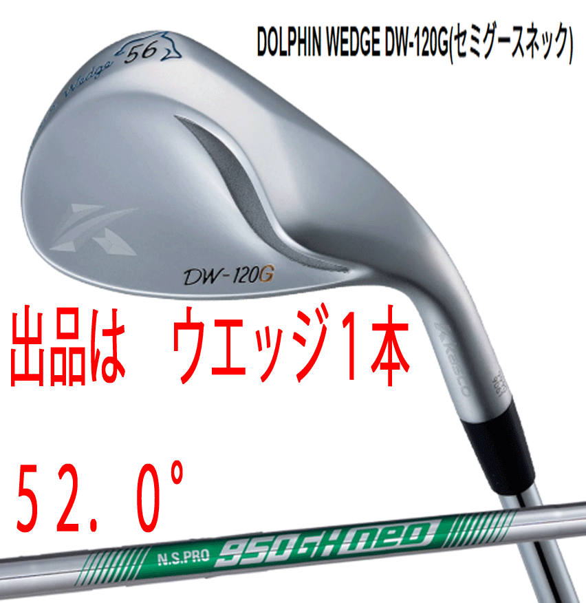 年間ランキング6年連続受賞】 新品□キャスコ□2020.2□ドルフィン