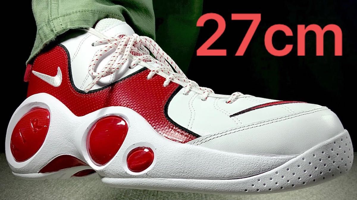 限定　AIR ZOOM FLIGHT 95 