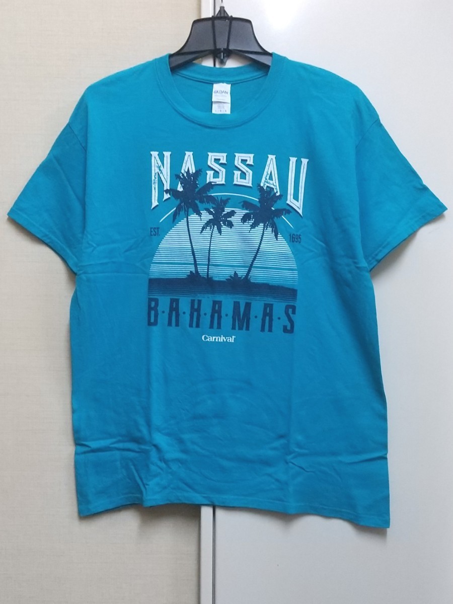 [送料無料](t23d4)L地名Tバハマ首都nassauナッソーusaアメリカ輸入古着半袖プリントTシャツ/ビーチ海ヤシの木_画像1