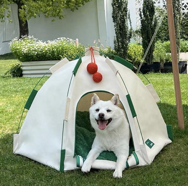 ペットとキャンプ テントハウス ドッグキャンプ キャンプ用品_画像4
