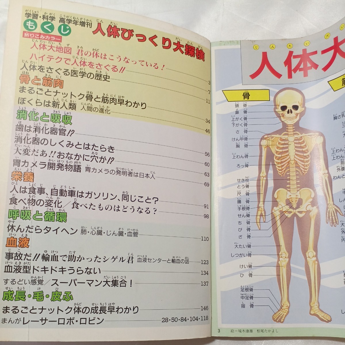 zaa-506♪学習・科学増刊高学年冬号　人体びっくり大探検 学習研究社 刊行年 1990年