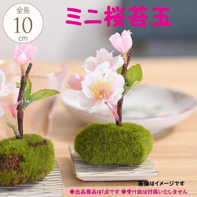 【新品・送料無料】『ミニ桜 苔玉』　造花　花材　置物　インテリア　アートフラワー　さくら_画像1