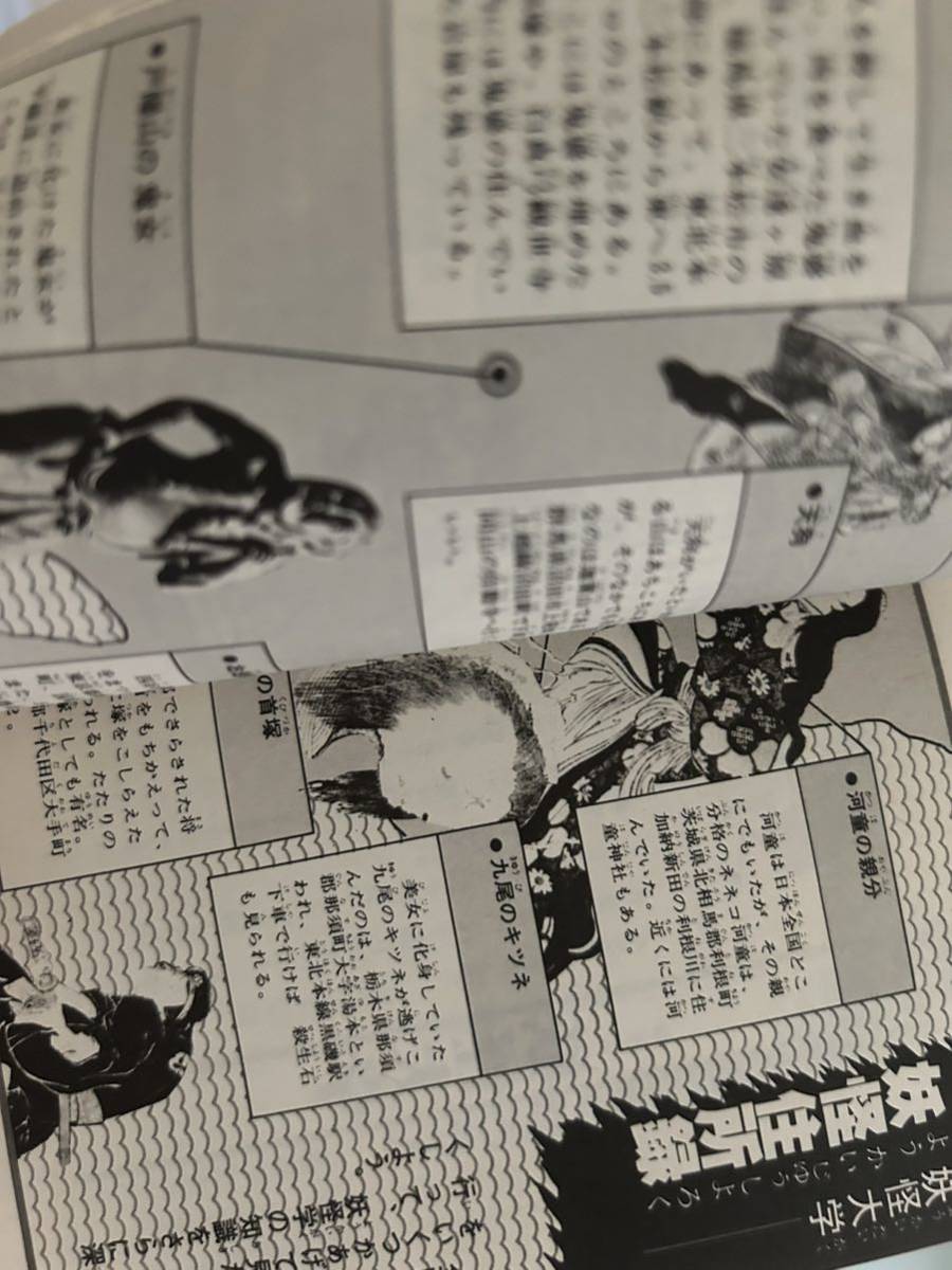 初版「大人を恐がらせる 大妖怪伝説」中岡俊哉.石原豪人サラ 初版「大人を恐がらせる 大妖怪伝説」中岡俊哉.石原豪人サラ