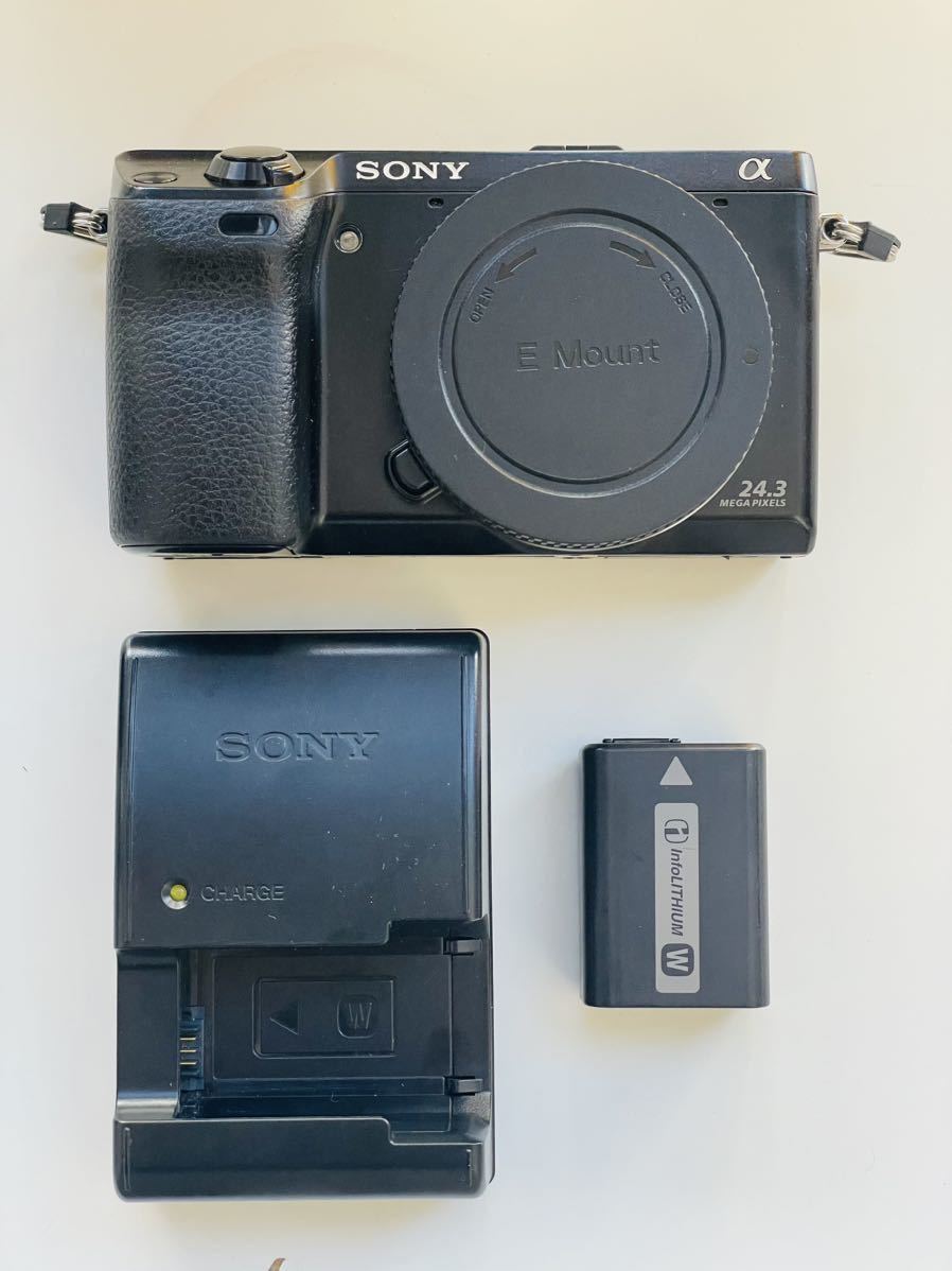 超新作】 ボディのみ 美品 SONY 通電・作動 ストロボ発光 防湿庫保管中