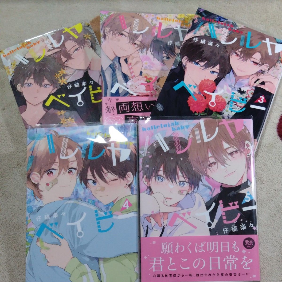 【りんこ様専用①】「ハレルヤベイビー①②③④⑤」/仔縞楽々