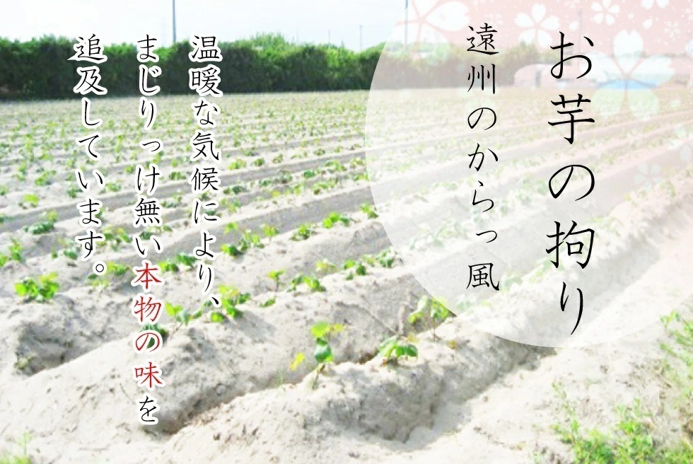 干し芋 角切り 食べ放題 大袋 400ｇ　ほしいも 干し芋 干しいも 干しイモ とろける干し芋 国産干し芋 無添加干し芋 お徳用干し芋 ya_画像8