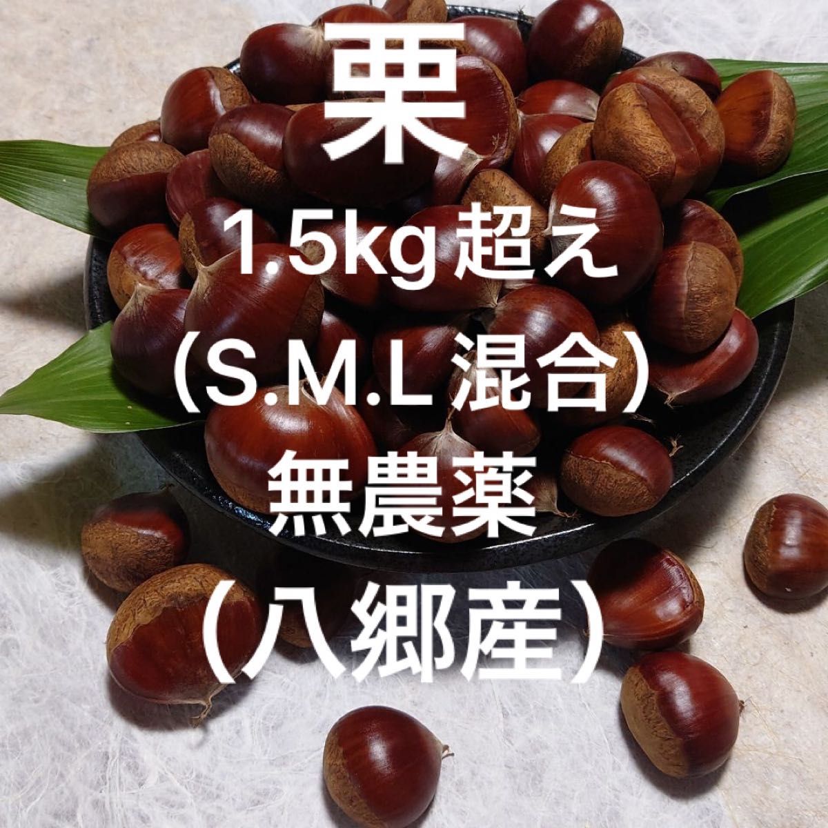 無農薬栽培の栗　生栗　サイズL 1.3kg