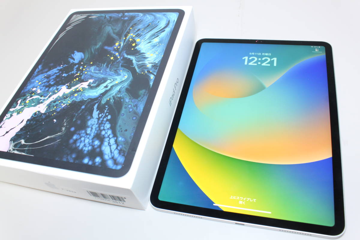 超格安価格 【ジャンク品】iPad Pro（11インチ）Wi-Fi/64GB〈MTXP2J/A