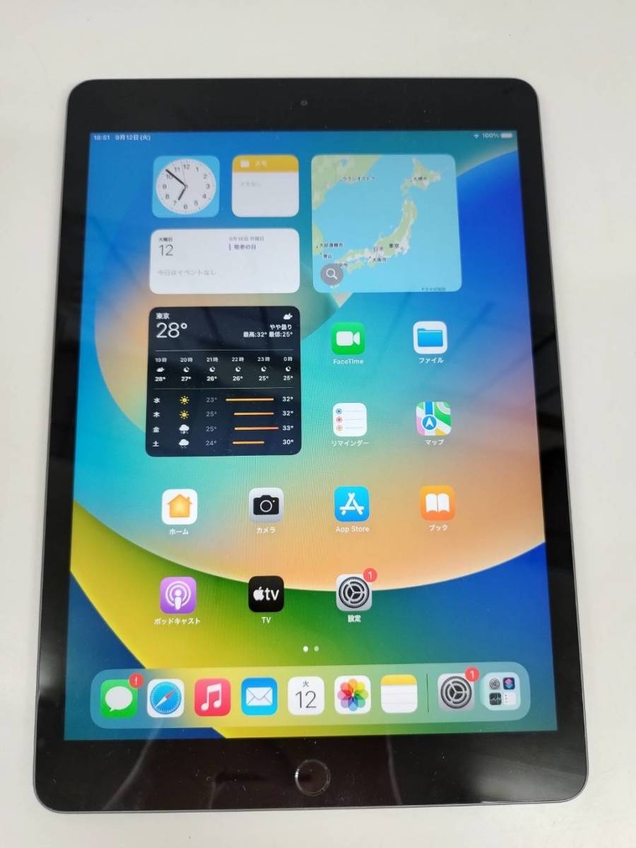 おまけ付】 【Wi-Fiモデル】iPad 第7世代 MW742J/A (A2197) 32GB iPad