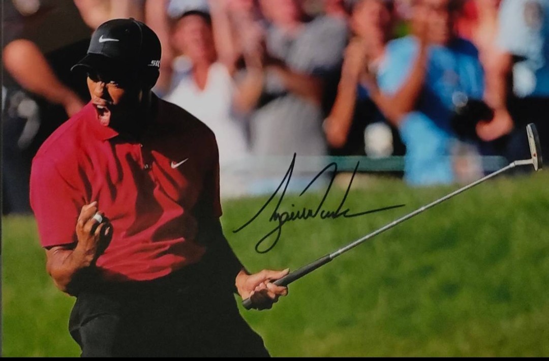 * Tiger * Woods autograph sa Info to/ photograph Major victory 15 times historical 2 person eyes. tolip legrand dos Ram raw . acquisition . gold 1 hundred million dollar breakthroug 