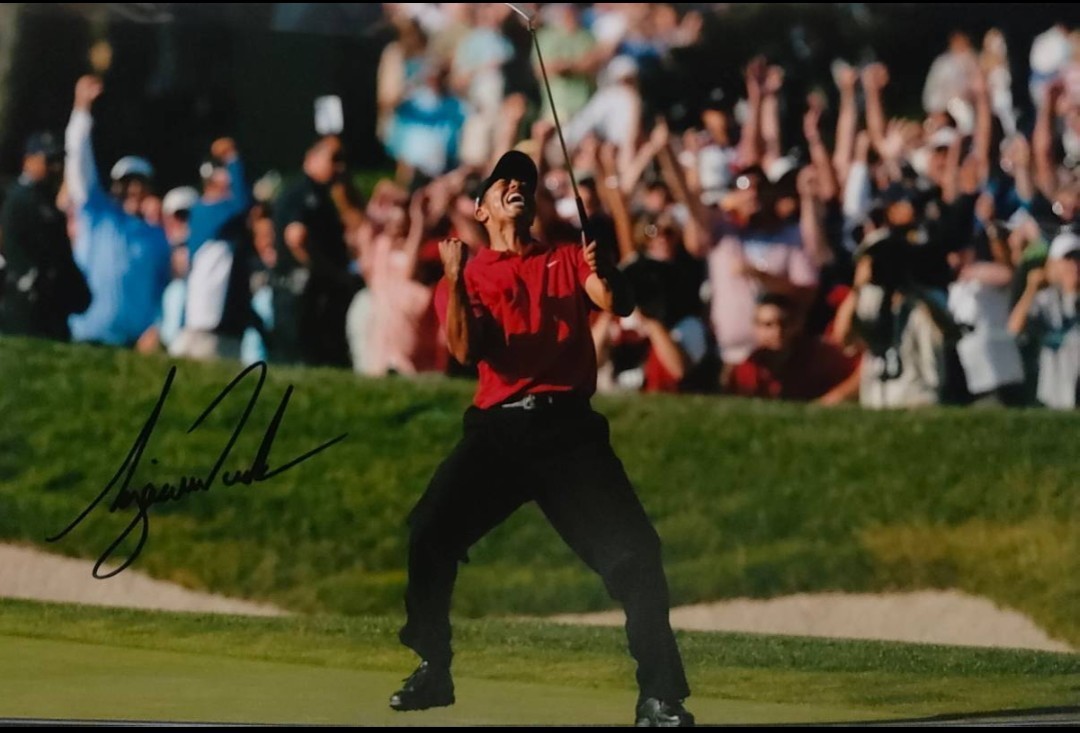 * Tiger * Woods autograph sa Info to/ photograph Major victory 15 times tolip legrand dos Ram raw . acquisition . gold 1 hundred million dollar breakthroug 