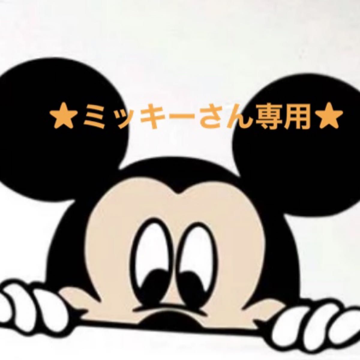 Mickeyさん専用-