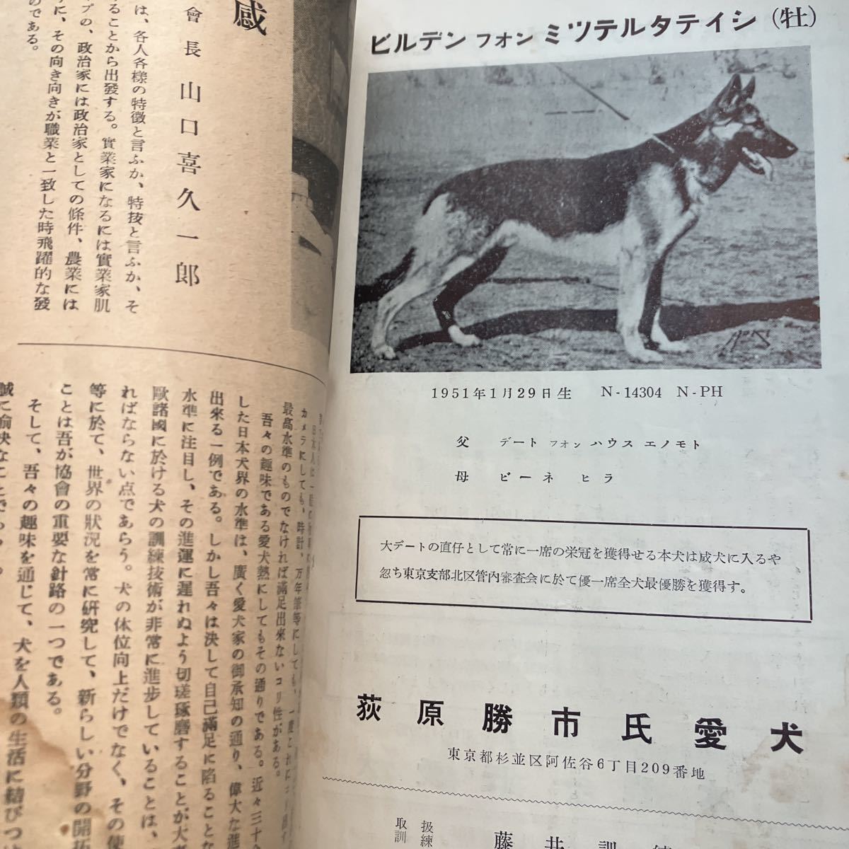☆本動物「貴重資料！日本警察犬協会冊子　警察犬第6巻1号」1950年代辺りのもの　経年劣化あり勝_画像4