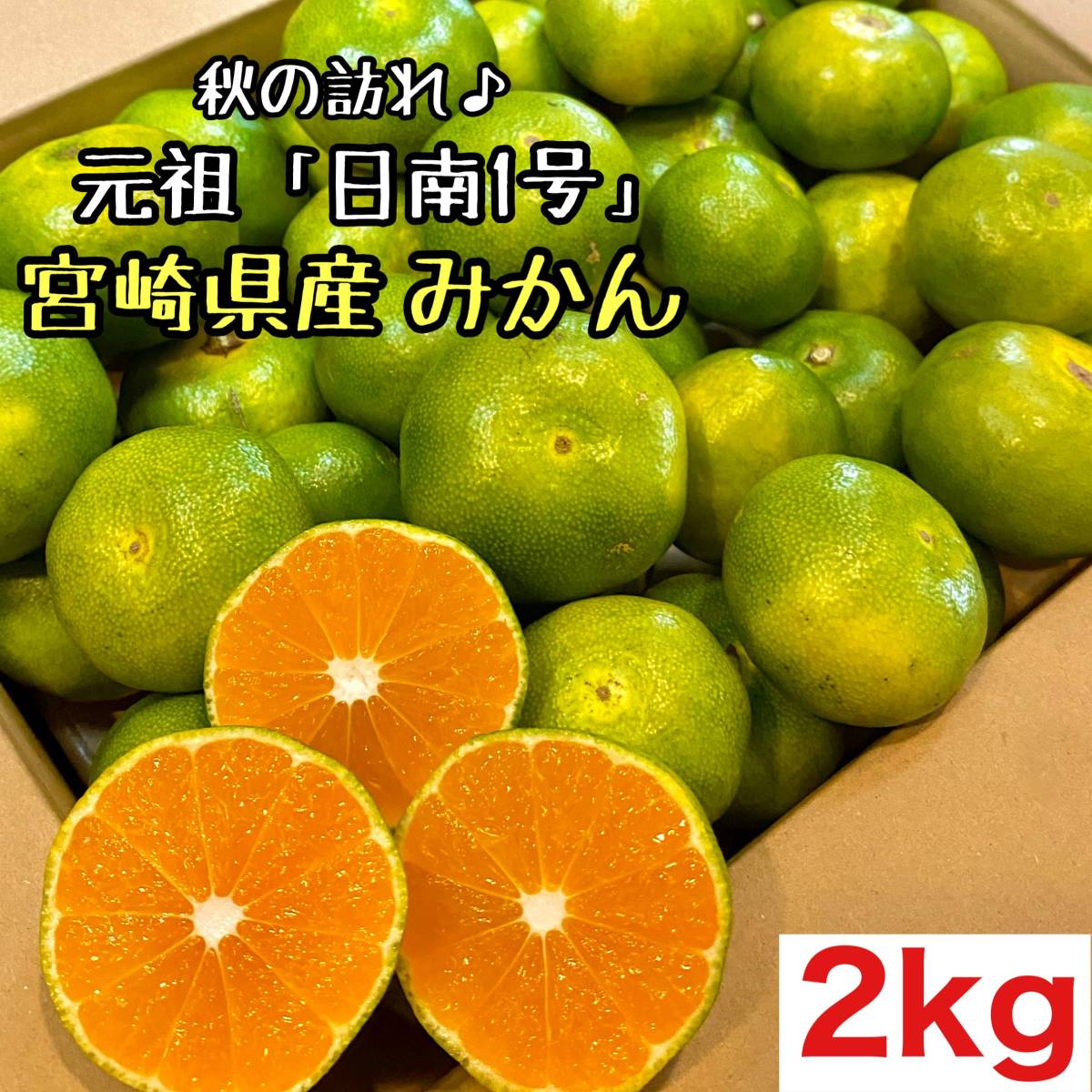 宮崎県産◎みかん 2kg  爽やかな甘さと程好い酸味◎極早生b