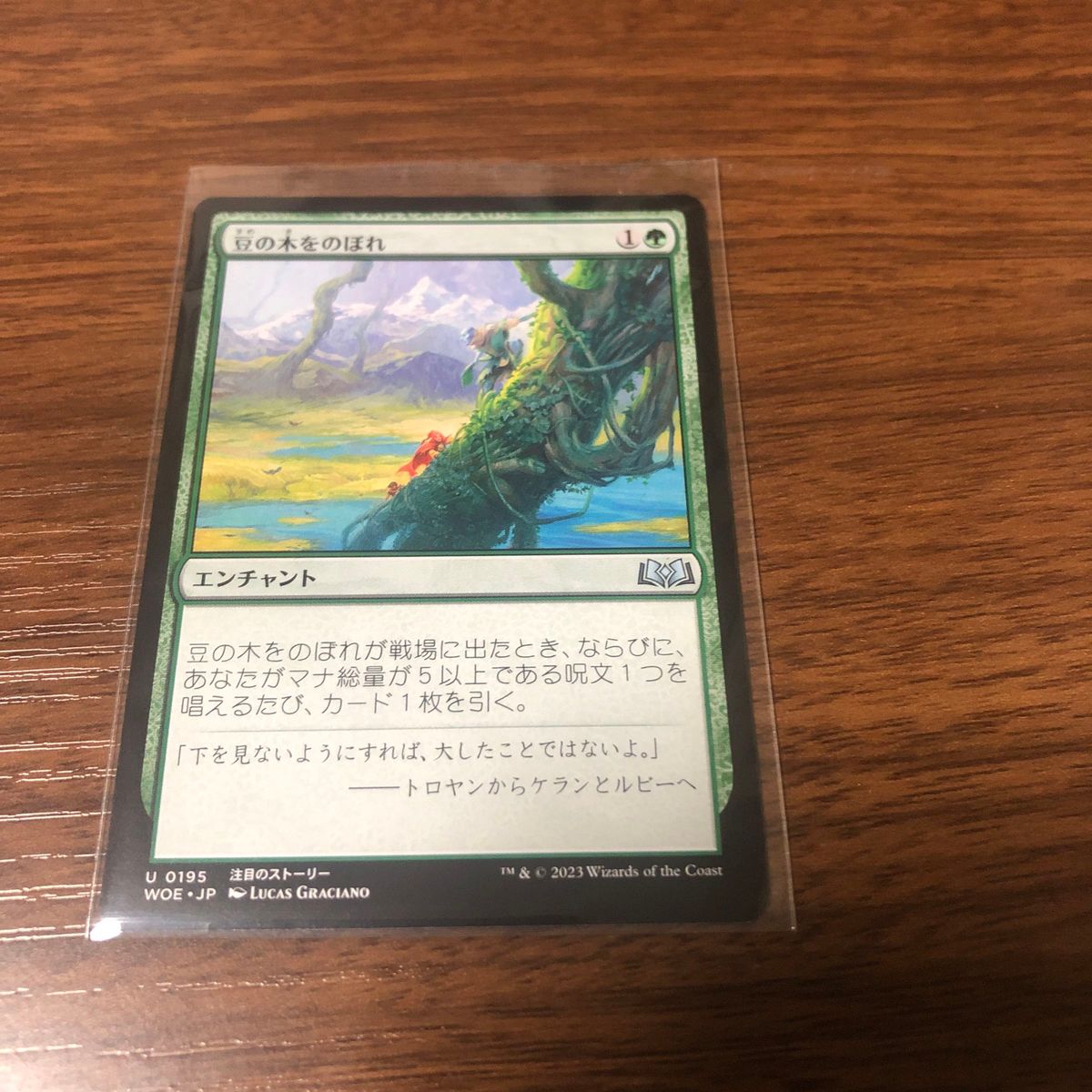 MTG 豆の木をのぼれ