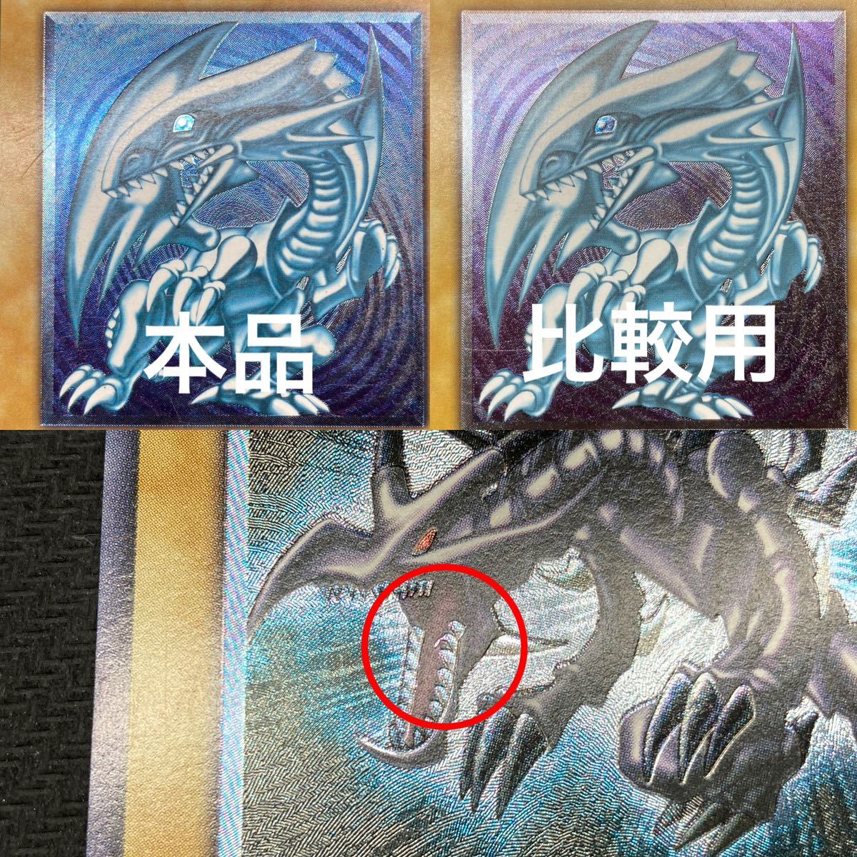 2枚セット】ブルーアイズ 青艶、レッドアイズ 親知らず |遊戯王 2枚セット】ブルーアイズ 青艶、レッドアイズ 親知らず |遊戯王