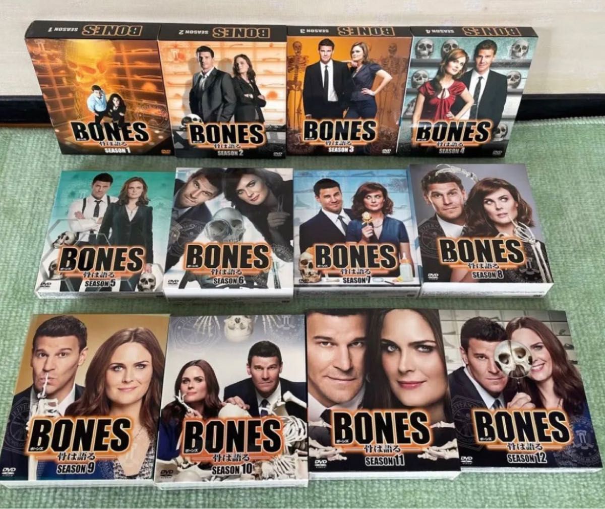 BONES ボーンズ DVD 全12シーズン コンパクトボックス コンプリート CD