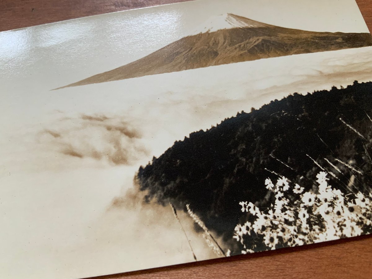 FF-6652 ■送料込■ 山梨県 雲海の富士 富士山 雲海 山 登山 自然 天気 花 世界遺産 風景 景色 戦前 エンタイア 絵葉書 写真 古写真/くNAら_画像3