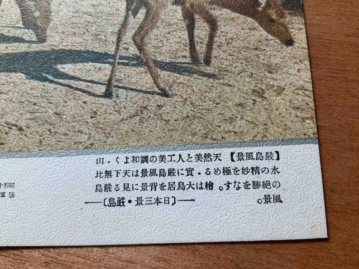 FF-6784 ■送料込■ 広島県 厳島風景 鹿 浜辺 大鳥居 神社 寺 宗教 海 動物 風景 景色 名所 戦前 絵葉書 写真 古写真/くNAら_画像2