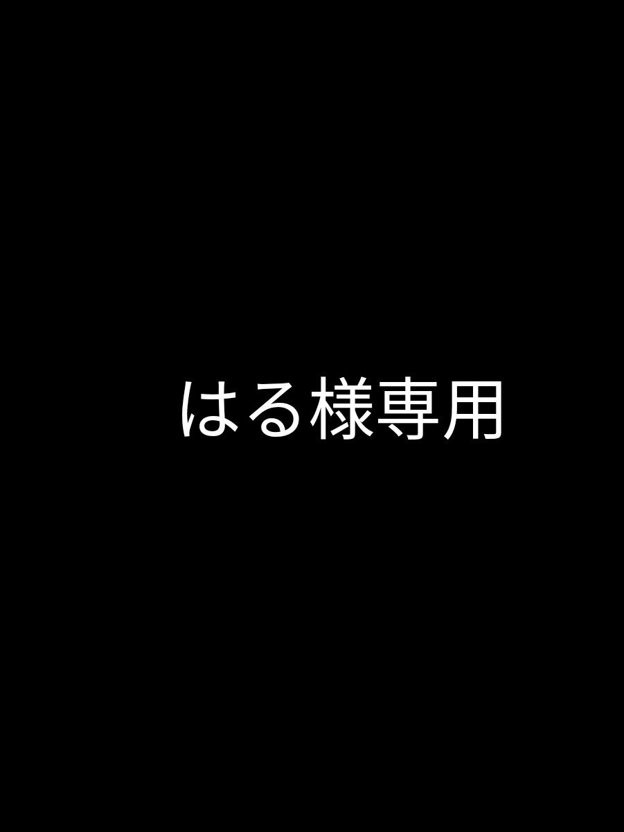 はる様専用｜Yahoo!フリマ（旧PayPayフリマ）