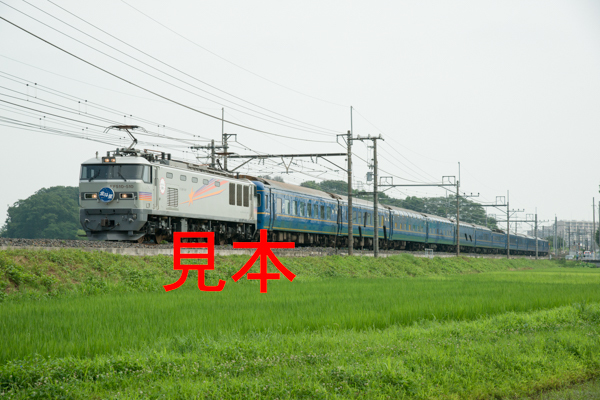 鉄道写真データ（JPEG）、00336530、EF510-510＋北斗星、JR東北本線、蓮田〜東大宮、2014.07.17、（7212×4813）_画像1