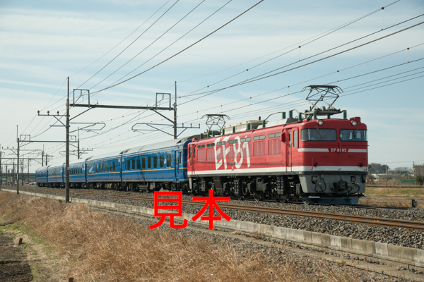 鉄道写真データ（JPEG）、00437519、EF81-95＋24系（乗務員訓練運転）、JR東北本線、東大宮〜蓮田、2015.02.16、（7360×4912）_画像1