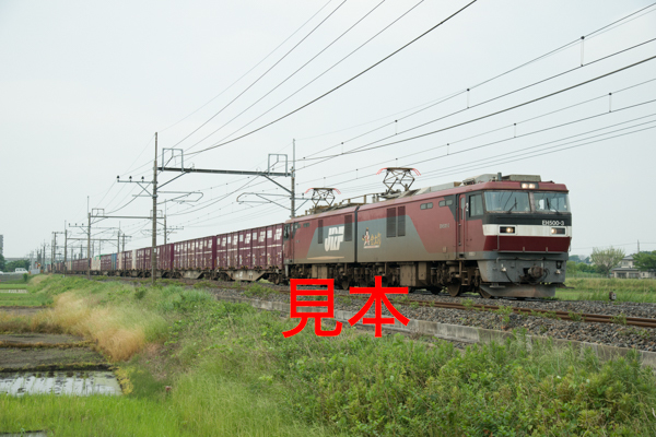 鉄道写真データ（JPEG）、00478521、EH500-3＋貨物、JR東北本線、東大宮〜蓮田、2015.05.28、（7360×4912）_画像1