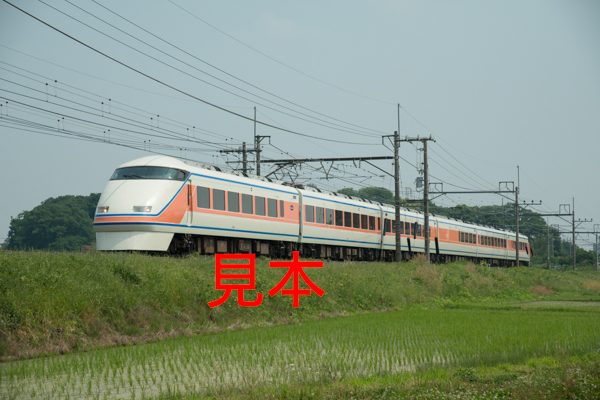 鉄道写真データ（JPEG）、00478524、特急スペーシアきぬがわ（100系、106F）、JR東北本線、蓮田〜東大宮、2015.05.28、（7360×4912）_画像1