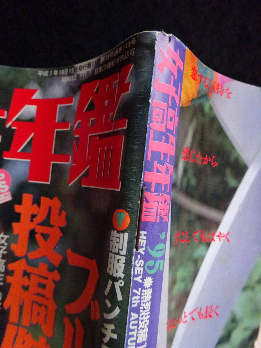 5724/女子高生年鑑 1995 熱烈投稿増刊 アイドル投稿写真/小泉 5724/女子高生年鑑 1995 熱烈投稿増刊 アイドル投稿写真/小泉
