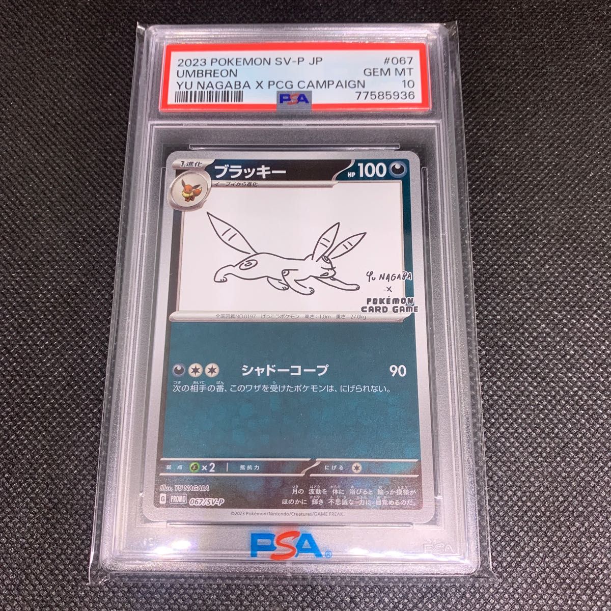 ポケモンカード　ブラッキー yu nagaba プロモ　PSA10