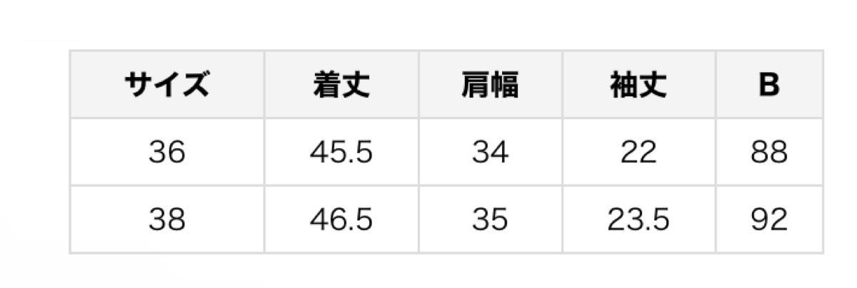 Demi-Luxe BEAMS スラブ　JQD PO グリーン トップス　36