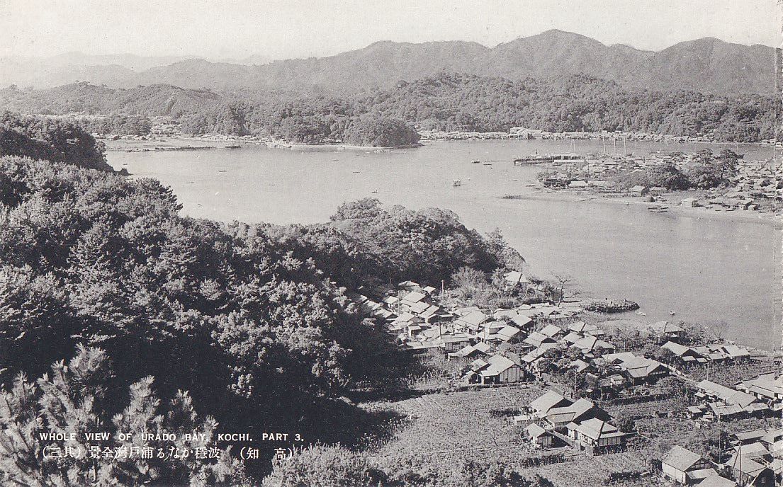 高知 浦戸湾 全景 3枚綴 パノラマ★戦前古絵葉書★n3054_画像2